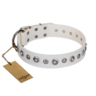 "Infinite Purity" White FDT Artisan Leather Bullmastiff Collar with Elegant Decorations "Infinite Purity" White FDT Artisan Leather Bullmastiff Collar with Elegant Decorations