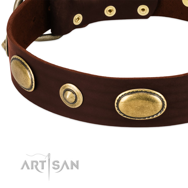 Strong adornments on natural leather dog collar for your four-legged friend