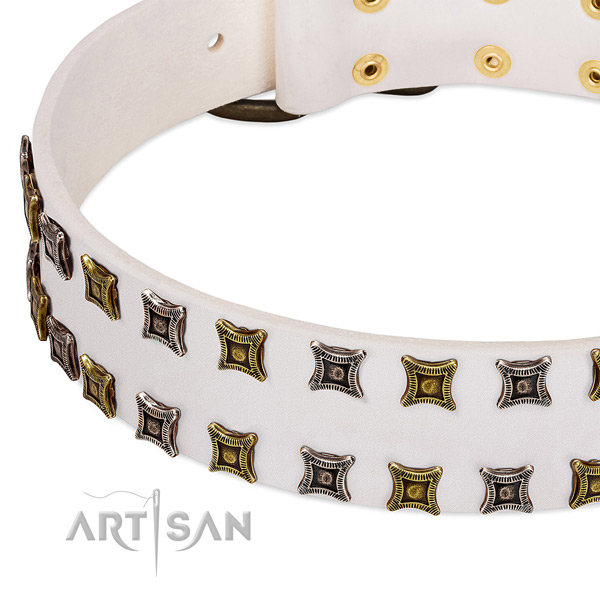 Leather dog collar with studs for your attractive pet