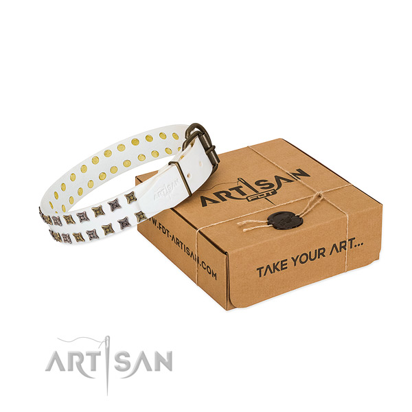 Full grain leather collar with impressive adornments for your four-legged friend