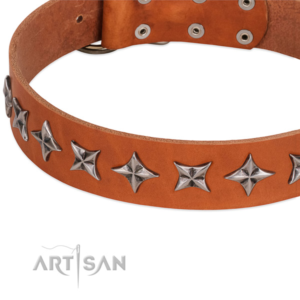 Everyday use studded dog collar of strong genuine leather