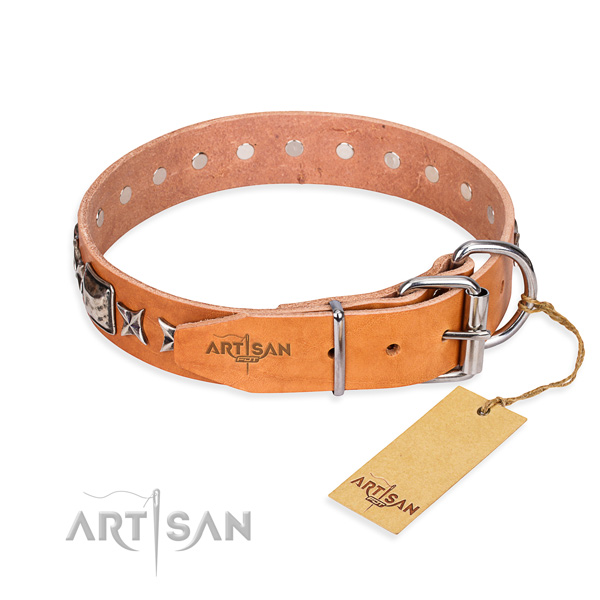 Fine quality studded dog collar of natural leather