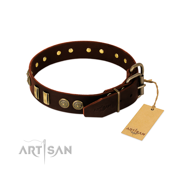 Reliable adornments on leather dog collar for your canine