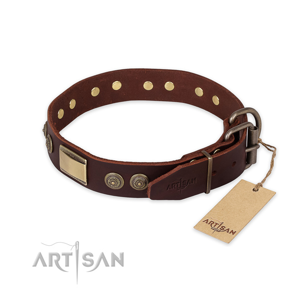 Rust resistant buckle on full grain natural leather collar for daily walking your pet