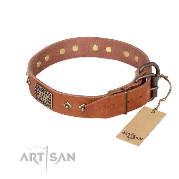 Full grain leather dog collar with rust resistant buckle and adornments