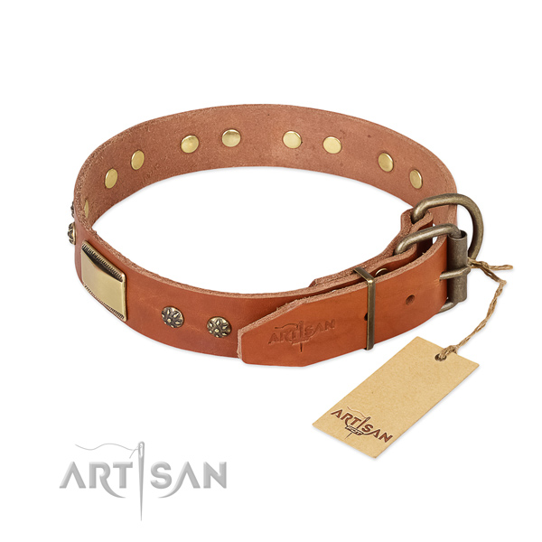 Leather dog collar with corrosion proof D-ring and adornments