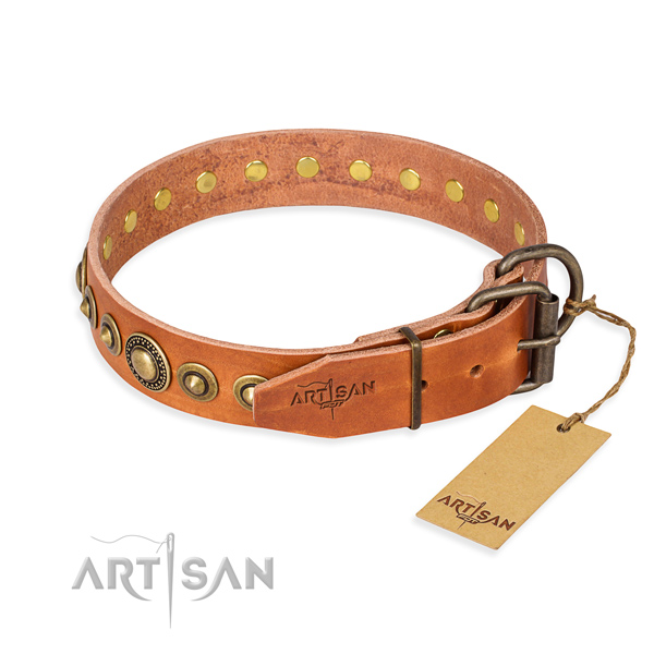 Strong leather dog collar created for handy use