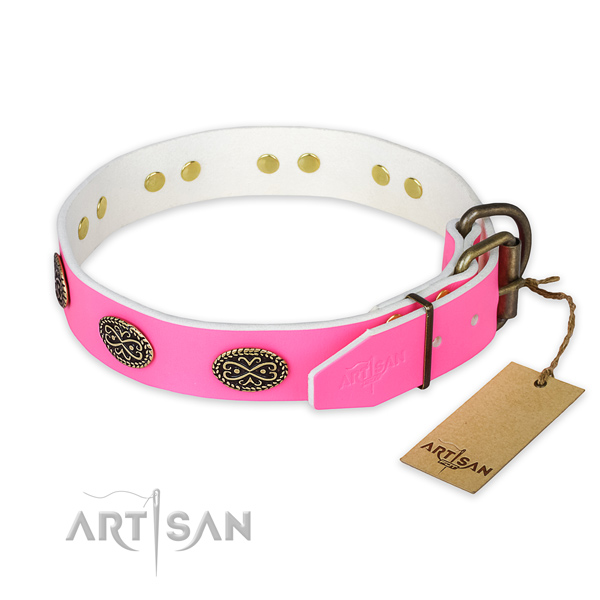 Durable studs on everyday walking dog collar