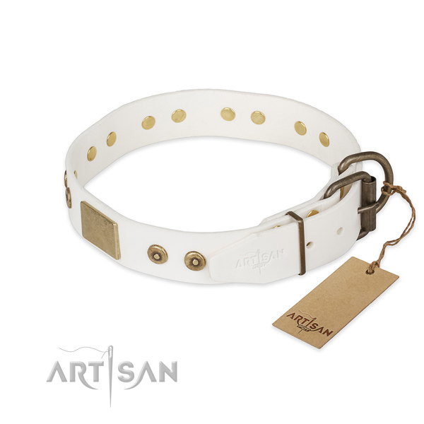 Leather dog collar with corrosion proof fittings and studs