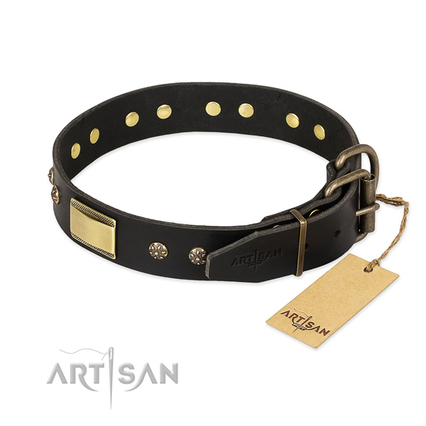 Leather dog collar with durable buckle and embellishments