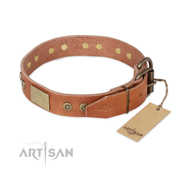 Corrosion resistant fittings on full grain natural leather collar for everyday walking your dog
