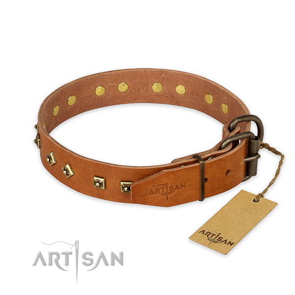 Corrosion resistant hardware on leather collar for walking your dog