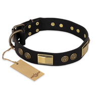 "Ancient Egypt" FDT Artisan Leather Bullmastiff Collar with Old Bronze Look Decorations "Ancient Egypt" FDT Artisan Leather Bullmastiff Collar with Old Bronze Look Decorations