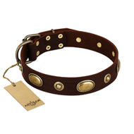 "Hebe's Jewel" FDT Artisan Brown Genuine Leather Bullmastiff Collar "Hebe's Jewel" FDT Artisan Brown Genuine Leather Bullmastiff Collar