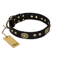 "High Fashion" FDT Artisan Studded with Plates Black Leather Bullmastiff Collar "High Fashion" FDT Artisan Studded with Plates Black Leather Bullmastiff Collar