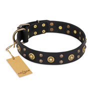 "Cosmic Glow" FDT Artisan Black Leather Bullmastiff Collar with Brass-Plated Studs "Cosmic Glow" FDT Artisan Black Leather Bullmastiff Collar with Brass-Plated Studs