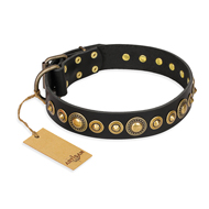 "Gold Mine" FDT Artisan Black Leather Bullmastiff Collar with Amazing Bronze-Plated Round Studs "Gold Mine" FDT Artisan Black Leather Bullmastiff Collar with Amazing Bronze-Plated Round Studs