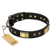 "Black Sun" FDT Artisan Leather Bullmastiff Collar with Brass Plated Decorations "Black Sun" FDT Artisan Leather Bullmastiff Collar with Brass Plated Decorations