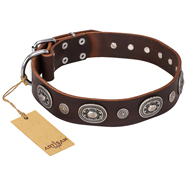 "Extra Pizzazz" FDT Artisan Adorned Brown Leather Bullmastiff Collar "Extra Pizzazz" FDT Artisan Adorned Brown Leather Bullmastiff Collar