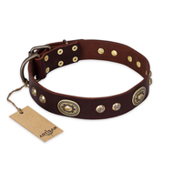 "Breath of Elegance" FDT Artisan Decorated with Plates Brown Leather Bullmastiff Collar "Breath of Elegance" FDT Artisan Decorated with Plates Brown Leather Bullmastiff Collar