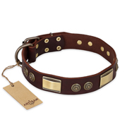 "Golden Stones" FDT Artisan Brown Leather Bullmastiff Collar with Old Bronze Look Plates and Circles "Golden Stones" FDT Artisan Brown Leather Bullmastiff Collar with Old Bronze Look Plates and Circles