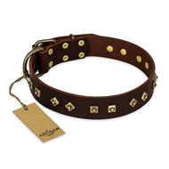"Fashion Studs" FDT Artisan Decorated Leather Bullmastiff Collar with Old Bronze-Plated Steel Hardware "Fashion Studs" FDT Artisan Decorated Leather Bullmastiff Collar with Old Bronze-Plated Steel Hardware