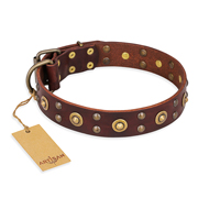 "Caprice of Fashion" FDT Artisan Brown Leather Bullmastiff Collar with Round Decorations "Caprice of Fashion" FDT Artisan Brown Leather Bullmastiff Collar with Round Decorations