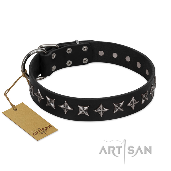 Fancy walking dog collar of finest quality natural leather with decorations