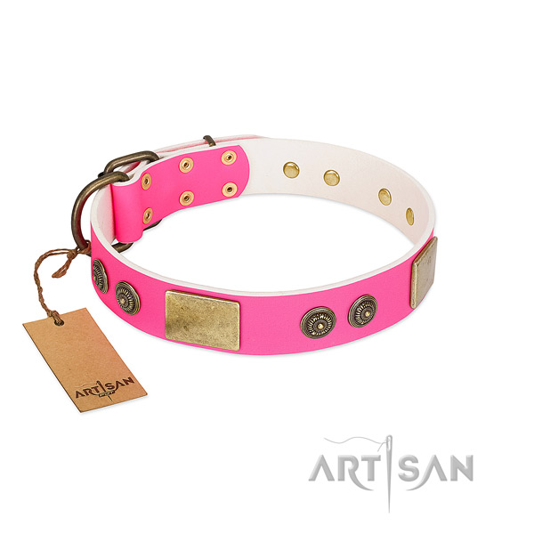 Adjustable full grain leather dog collar for walking