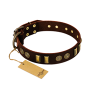 "Golden Elegance" FDT Artisan Brown Leather Bullmastiff Collar with Old Bronze-like Decorations "Golden Elegance" FDT Artisan Brown Leather Bullmastiff Collar with Old Bronze-like Decorations