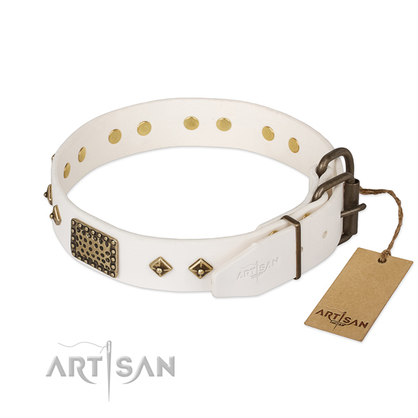 Full grain leather dog collar with reliable hardware and studs