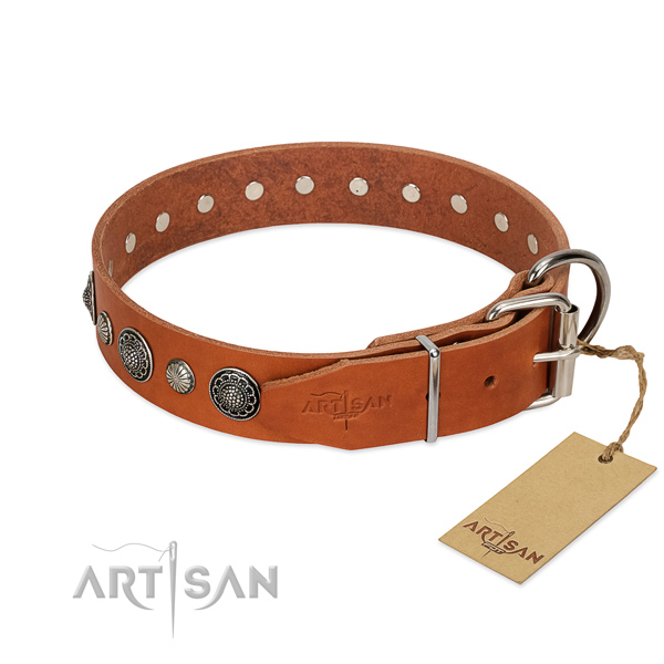 Strong full grain leather dog collar with corrosion proof fittings