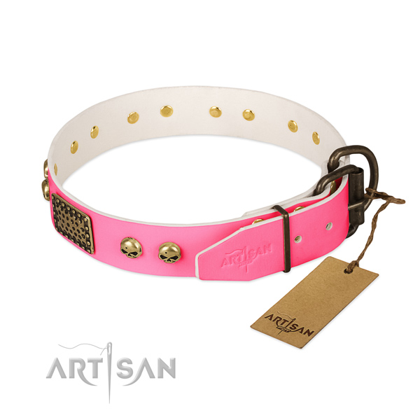Strong fittings on comfortable wearing dog collar