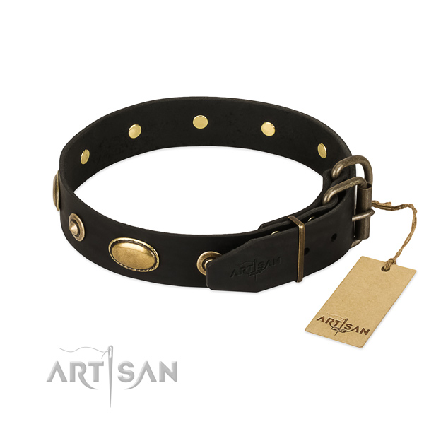 Durable adornments on genuine leather dog collar for your canine