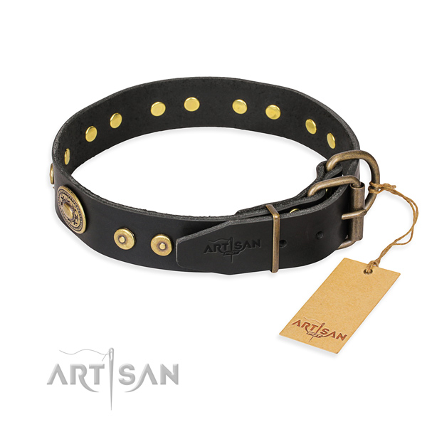 Full grain leather dog collar made of quality material with rust resistant embellishments