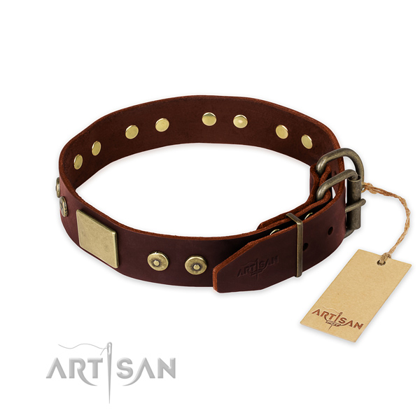 Rust resistant embellishments on stylish walking dog collar