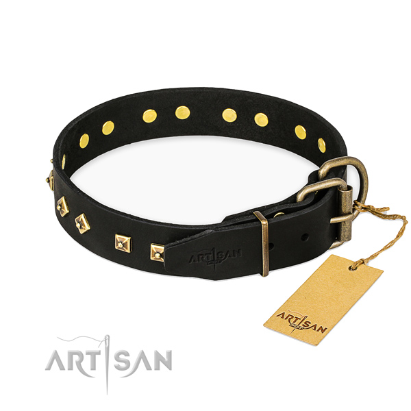 Corrosion proof traditional buckle on full grain natural leather collar for walking your four-legged friend