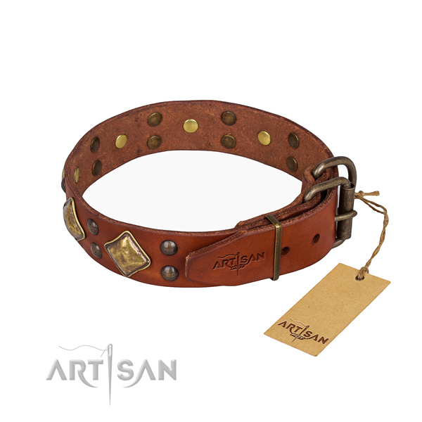 Leather dog collar with awesome rust-proof decorations