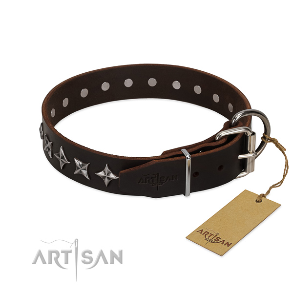 Walking embellished dog collar of top notch leather