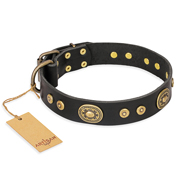 "Golden Radiance" FDT Artisan Black Leather Bullmastiff Collar with Old Bronze Look Ovals and Circles "Golden Radiance" FDT Artisan Black Leather Bullmastiff Collar with Old Bronze Look Ovals and Circles
