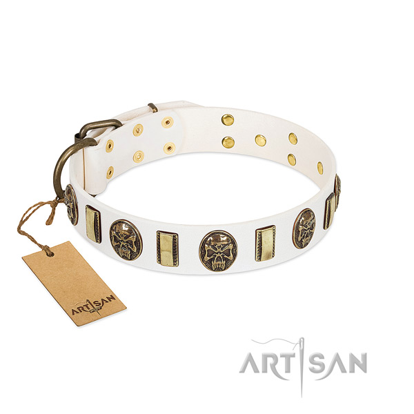 Studded genuine leather dog collar for basic training