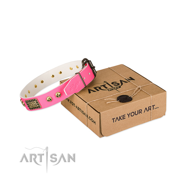Corrosion proof fittings on dog collar for comfy wearing