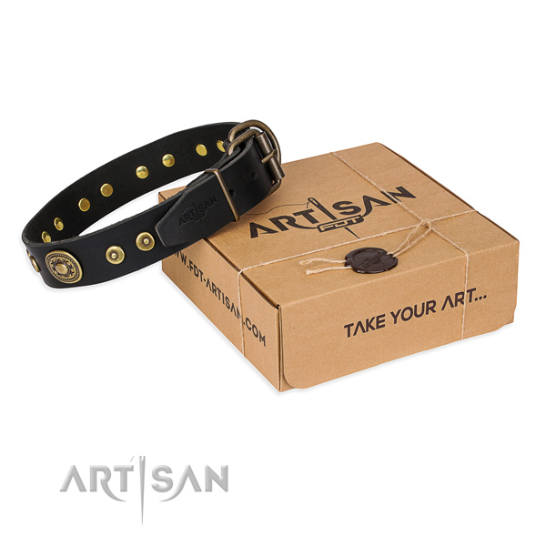 Full grain natural leather dog collar made of reliable material with strong D-ring