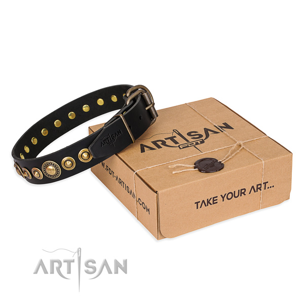 Top notch full grain leather dog collar made for fancy walking