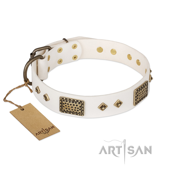Top notch leather dog collar for handy use