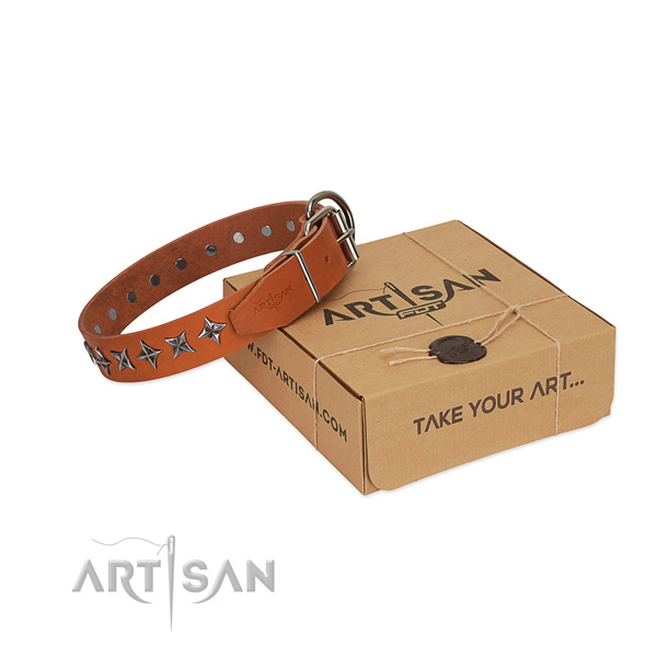 Everyday walking dog collar of reliable natural leather with studs