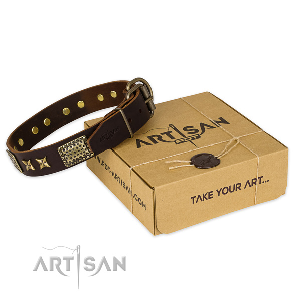 Corrosion resistant buckle on leather collar for your lovely canine