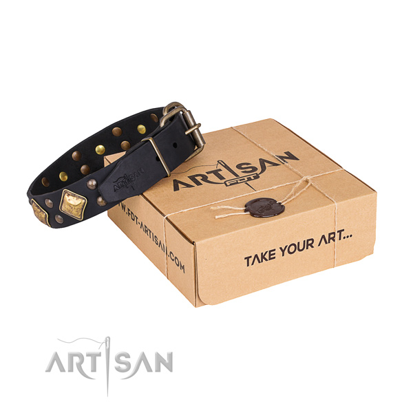 Handy use dog collar with Designer durable embellishments