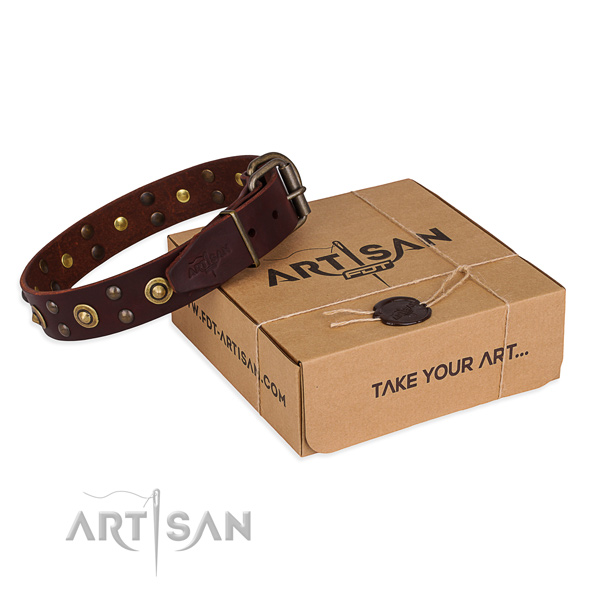 Rust resistant traditional buckle on leather collar for your attractive dog