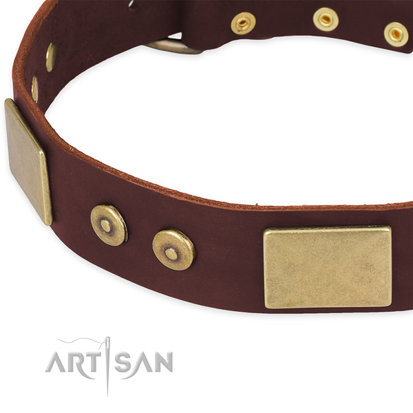 Natural genuine leather dog collar with embellishments for comfy wearing